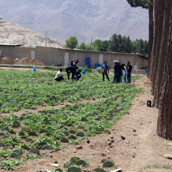 دانشجویان دانشگاه صنعتی