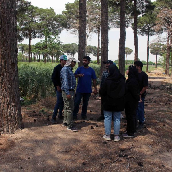 دانشجویان دانشگاه صنعتی