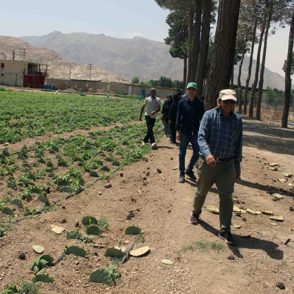 دانشجویان دانشگاه صنعتی