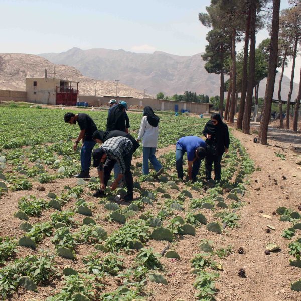 دانشجویان دانشگاه صنعتی