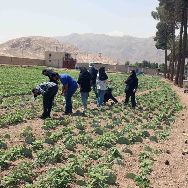 دانشجویان دانشگاه صنعتی