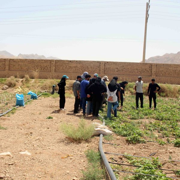 دانشجویان دانشگاه صنعتی