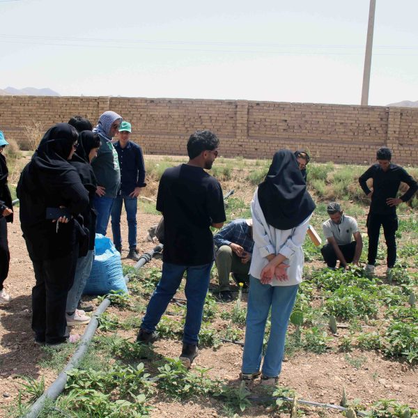 دانشجویان دانشگاه صنعتی