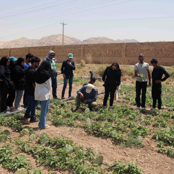 دانشجویان دانشگاه صنعتی