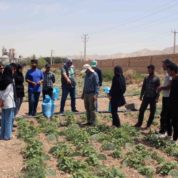 دانشجویان دانشگاه صنعتی